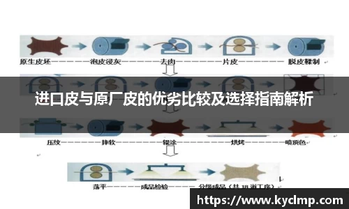 进口皮与原厂皮的优劣比较及选择指南解析